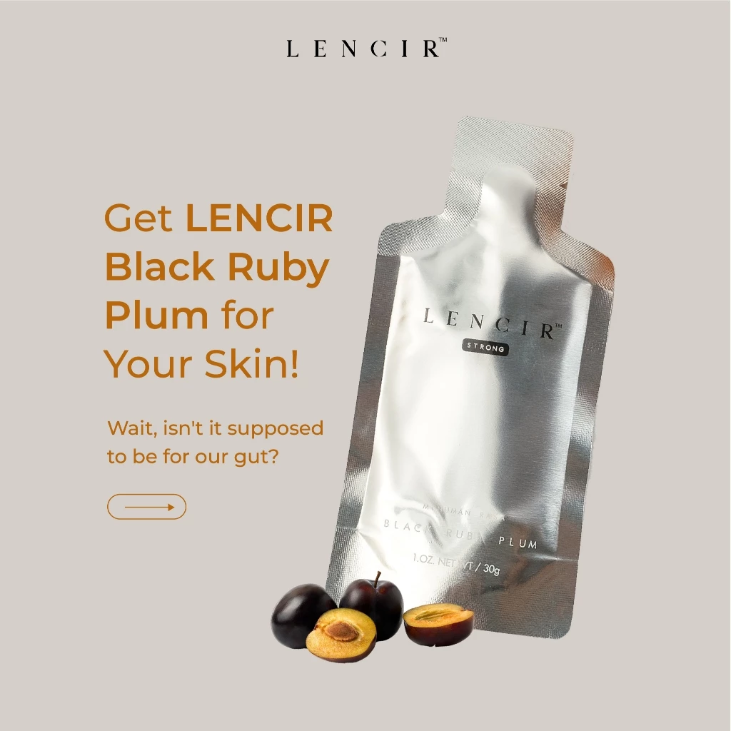 Lencir Original 6