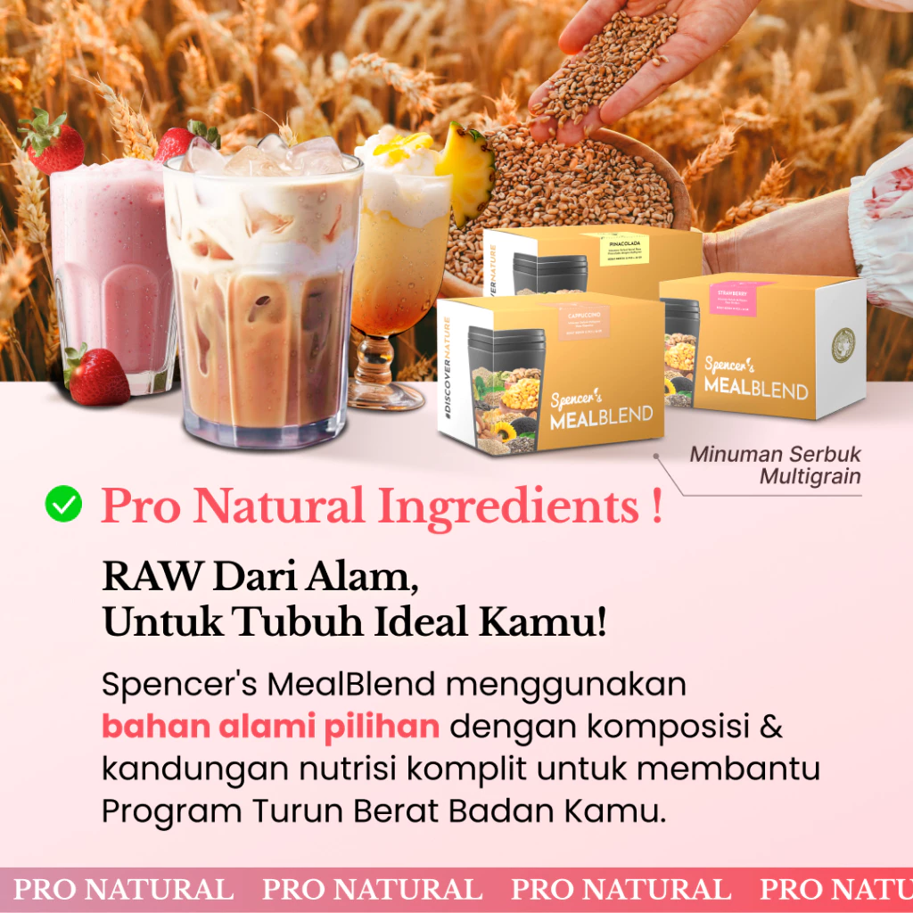 Mealblend 16